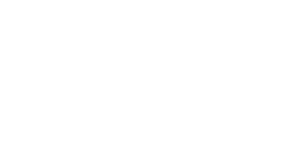 TDA Logo white